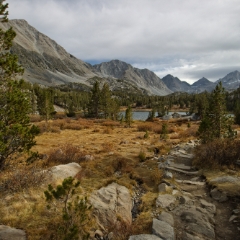 landscape 001