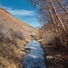 landscape 002