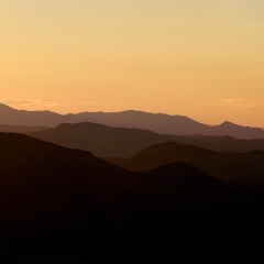 landscape 018