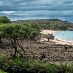 landscape 026