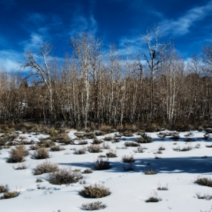 landscape 028